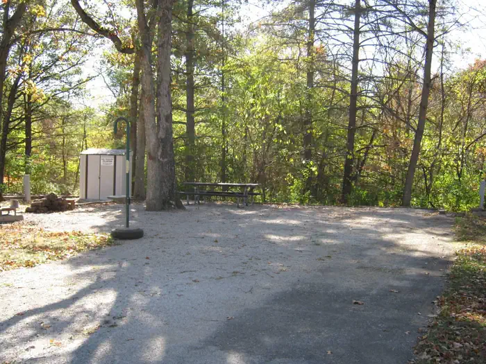 Coon Creek (il)