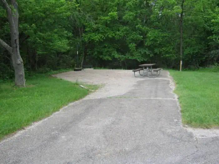Coon Creek (il)