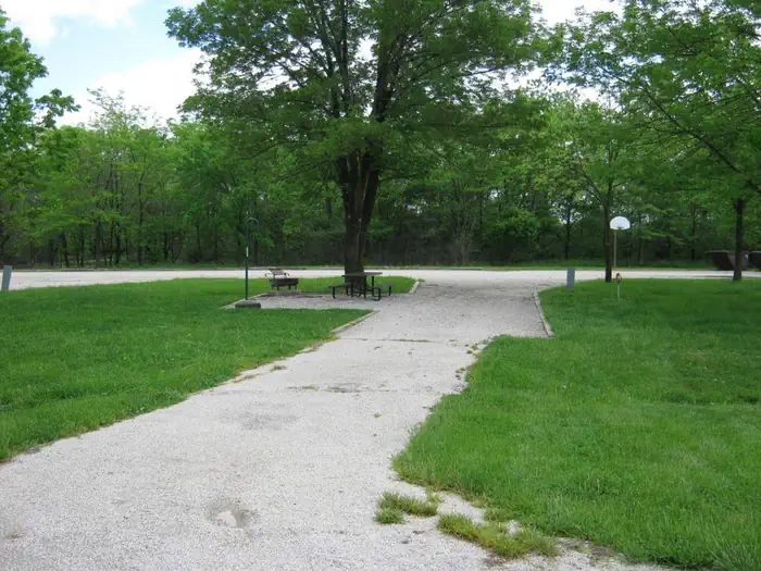 Coon Creek (il)