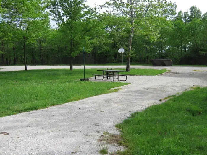 Coon Creek (il)