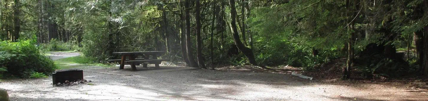 Mount Baker-Snoqualmie National Forest Swift Creek Campground