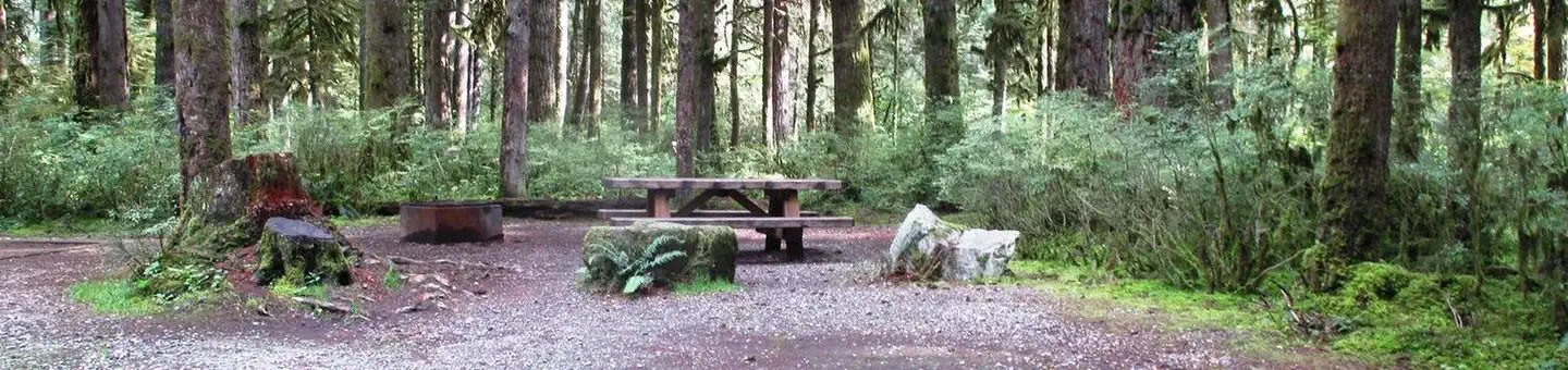 Mount Baker-Snoqualmie National Forest Swift Creek Campground