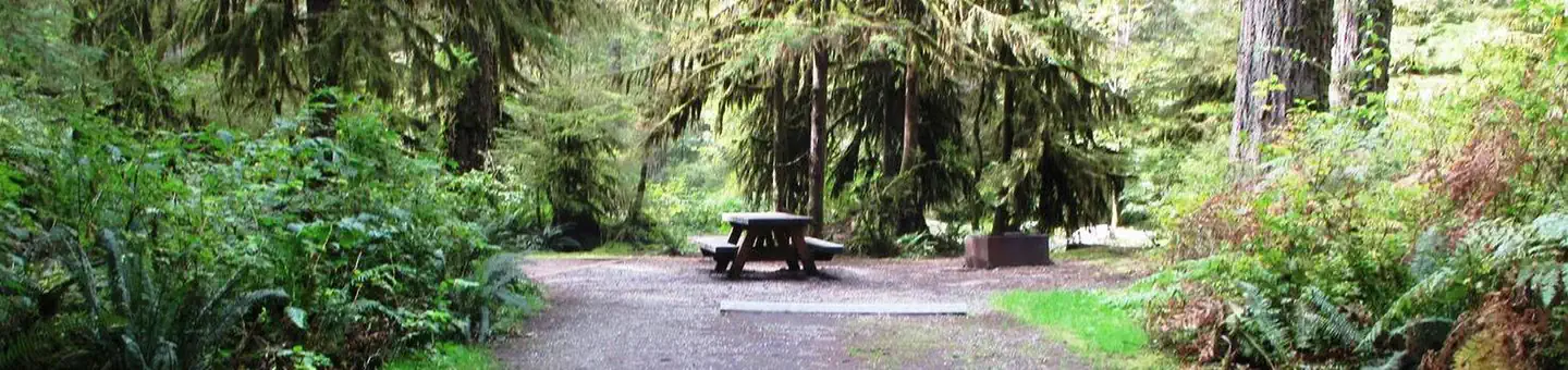Mount Baker-Snoqualmie National Forest Swift Creek Campground