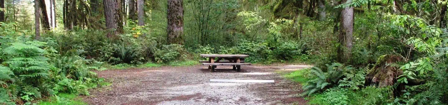 Mount Baker-Snoqualmie National Forest Swift Creek Campground
