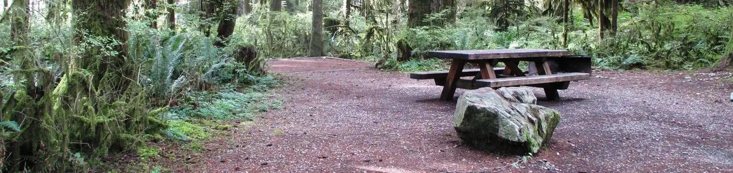 Mount Baker-Snoqualmie National Forest Swift Creek Campground