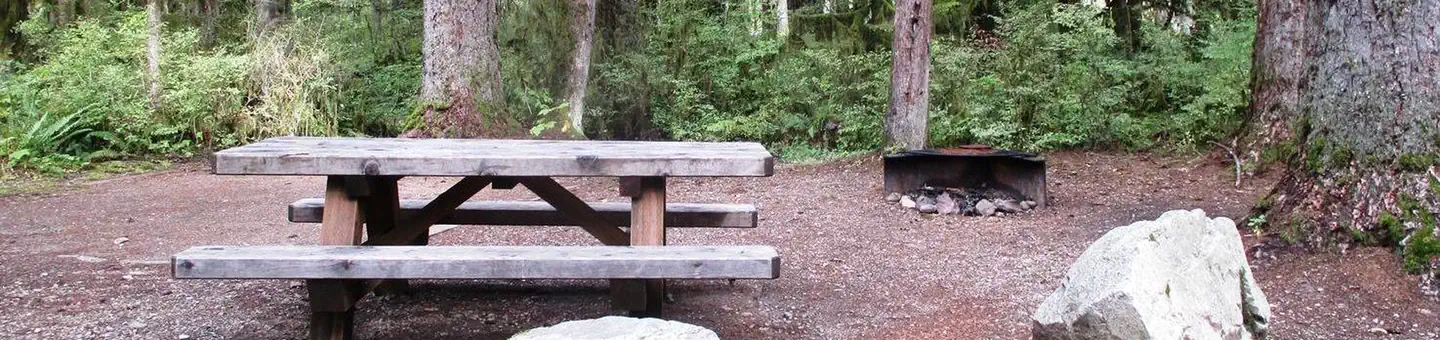 Mount Baker-Snoqualmie National Forest Swift Creek Campground