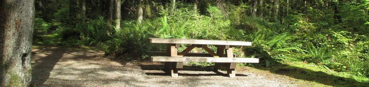 Mount Baker-Snoqualmie National Forest Swift Creek Campground