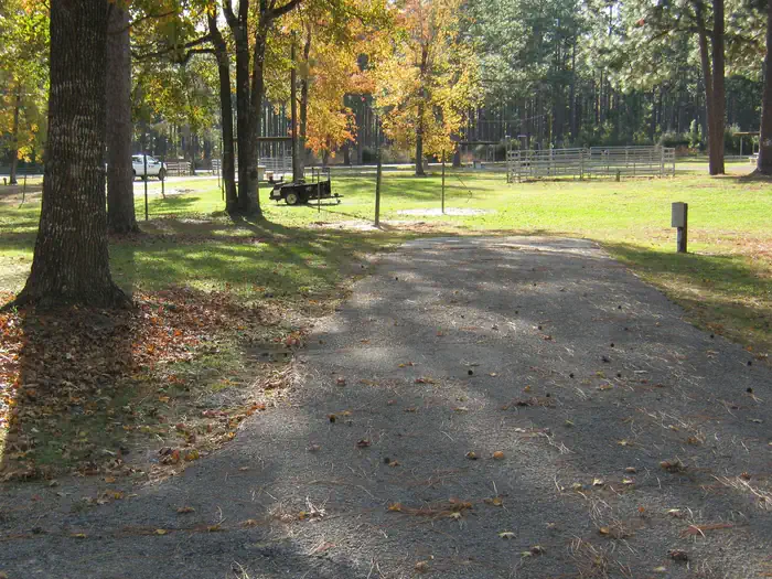 Ebenezer Park