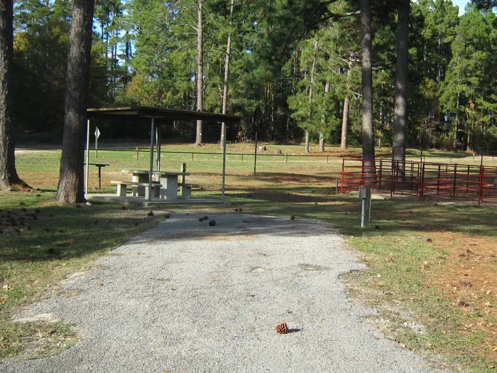 Ebenezer Park