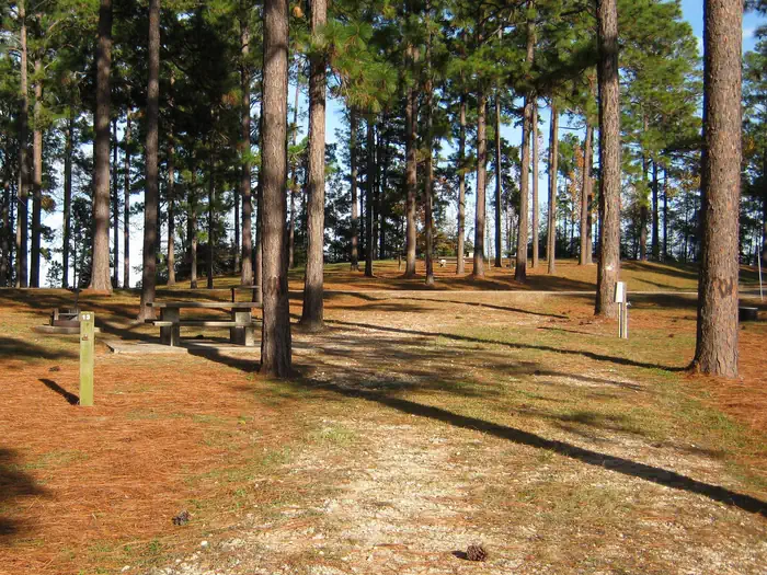 Ebenezer Park
