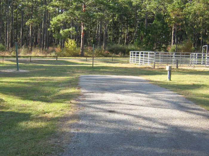 Ebenezer Park