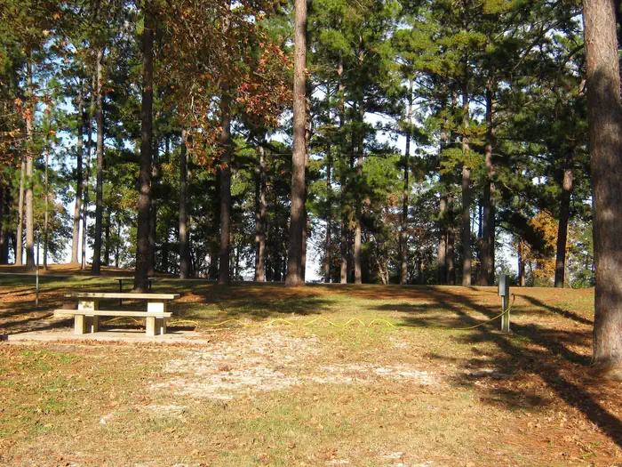 Ebenezer Park