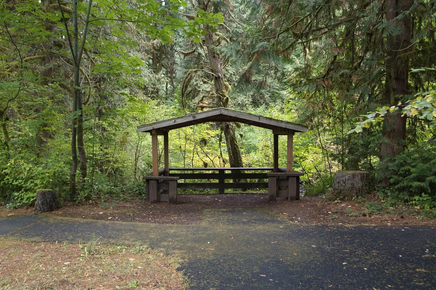 Shelter 1