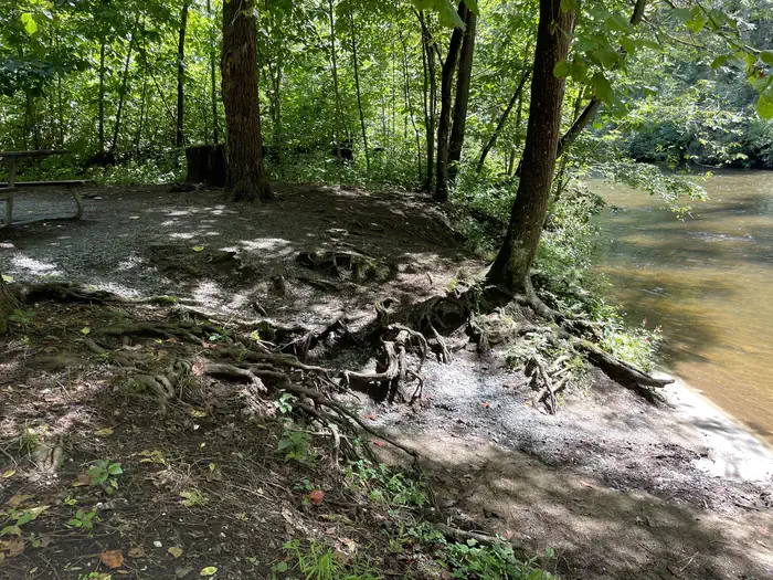 Abram's Creek Campground