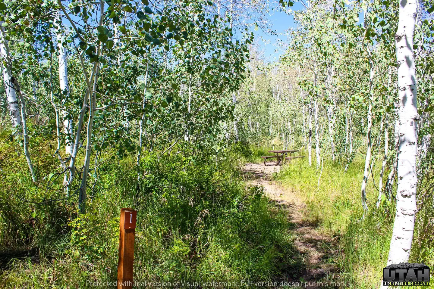 Bountiful Peak Campground