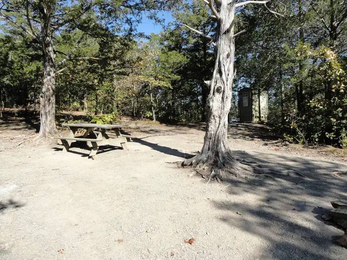 Dale Hollow Lake - Primitive Camping