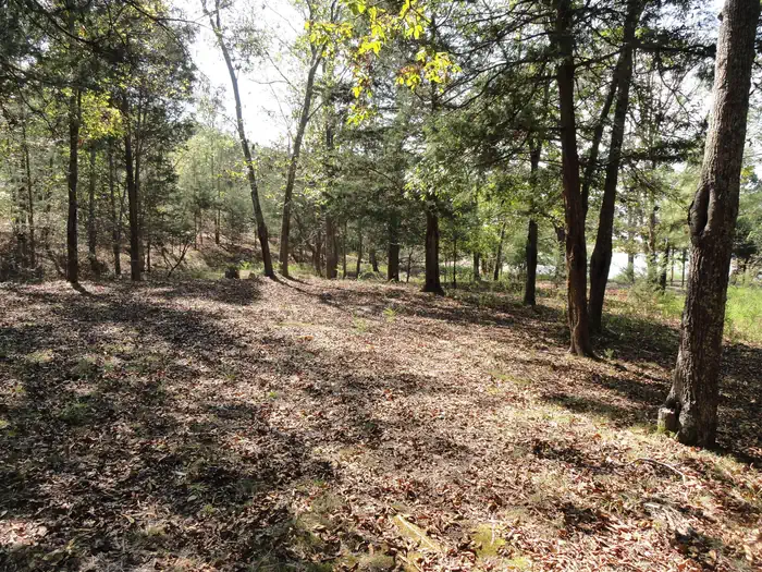 Dale Hollow Lake - Primitive Camping