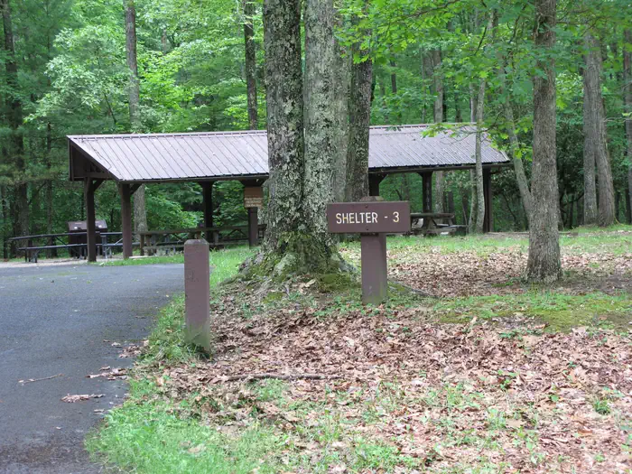 Shelter #3