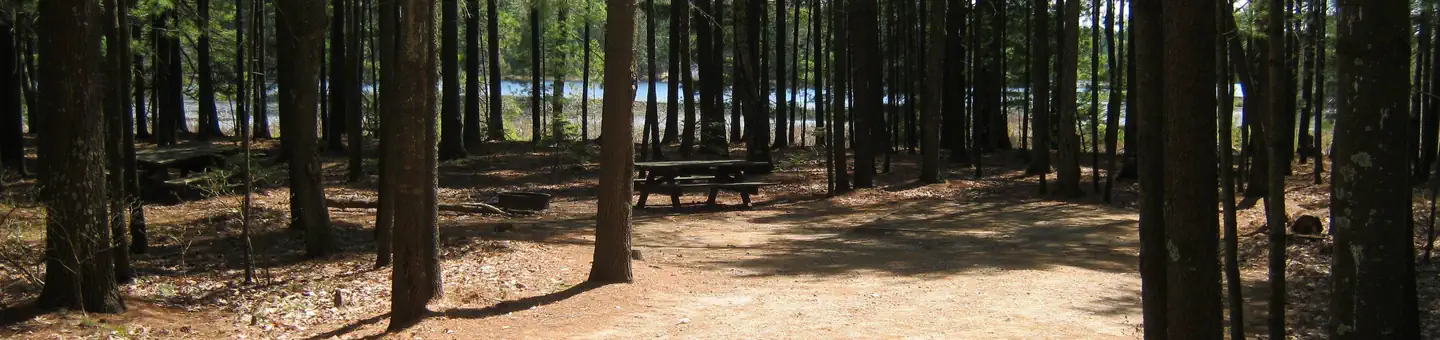 Laurel Lake Campground