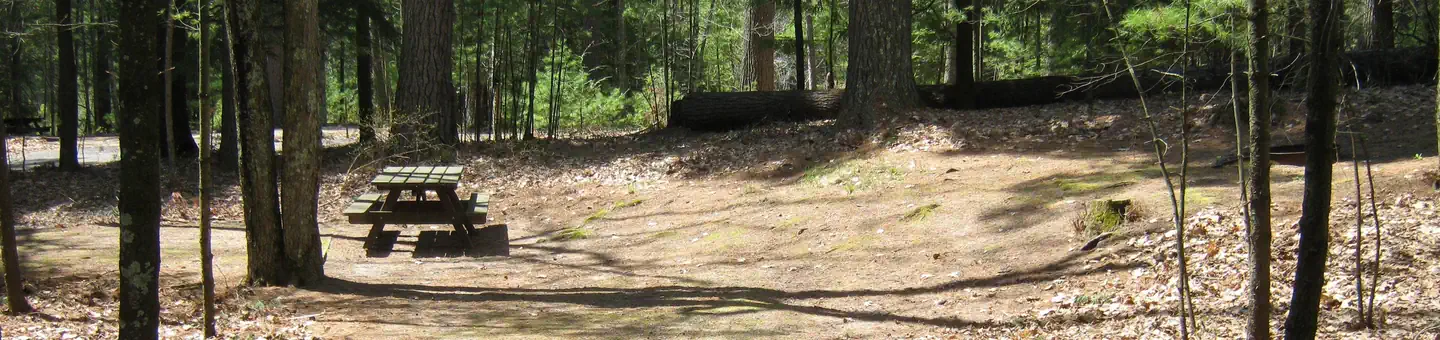Laurel Lake Campground