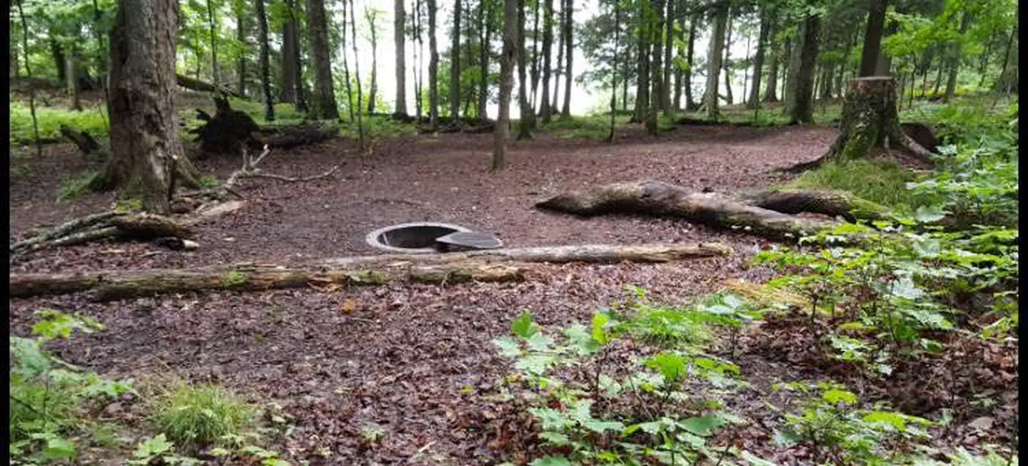 Sylvania Wilderness Backcountry Camping