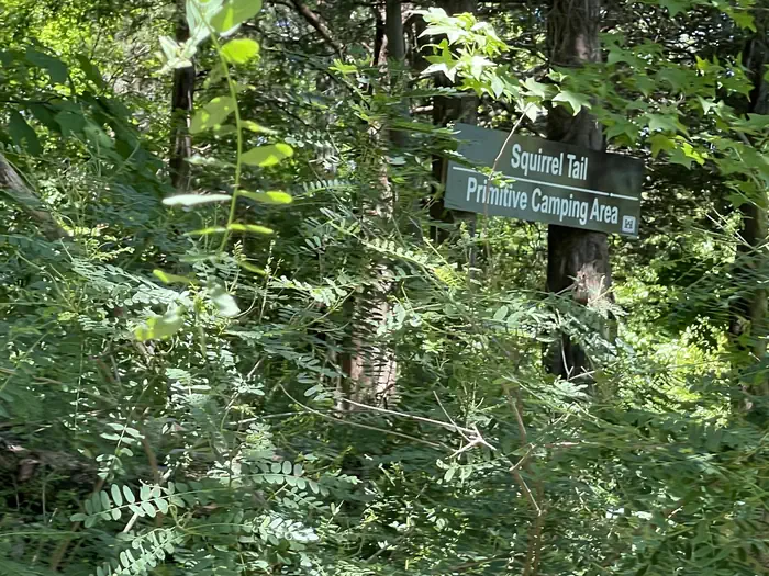 Center Hill Lake Primitive Camping Areas
