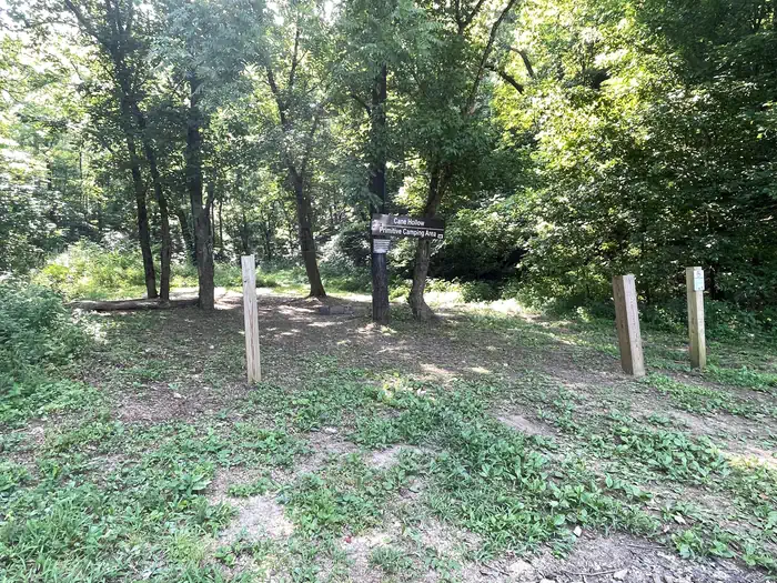 Cane Hollow -Site 3B