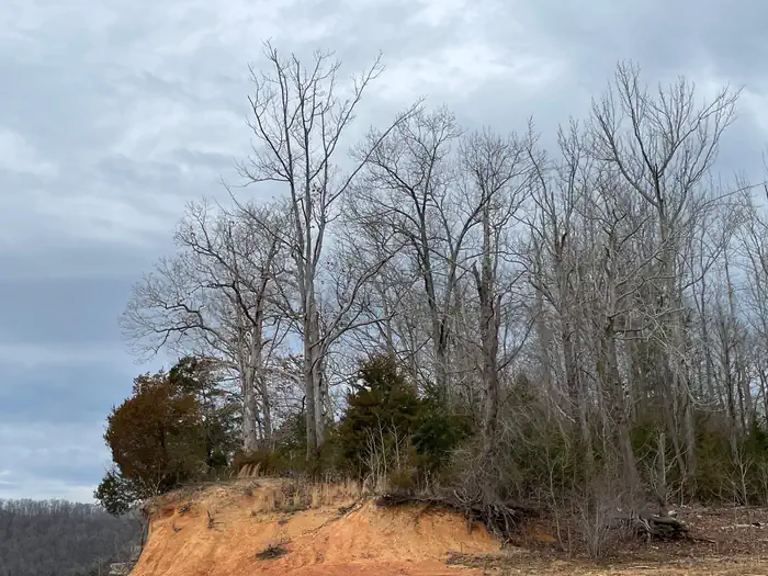 Center Hill Lake Primitive Camping Areas