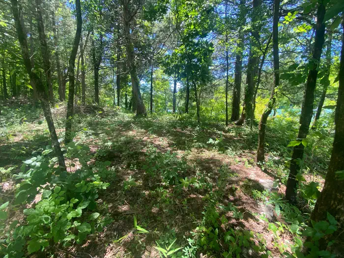 Center Hill Lake Primitive Camping Areas