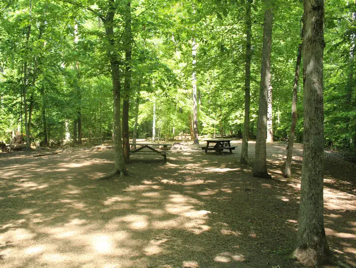 Turkey Run Ridge Group