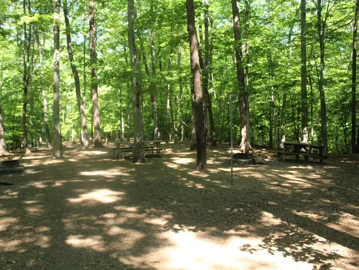 Turkey Run Ridge Group