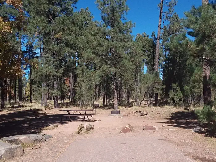 Aspen Campground at Woods Canyon