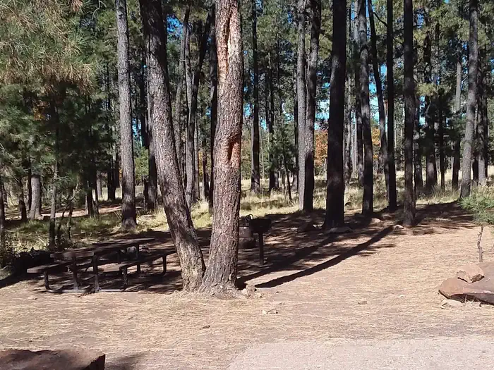 Aspen Campground at Woods Canyon