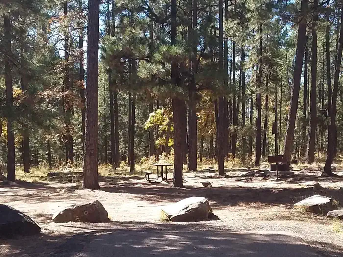 Aspen Campground at Woods Canyon