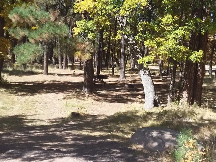 Aspen Campground at Woods Canyon