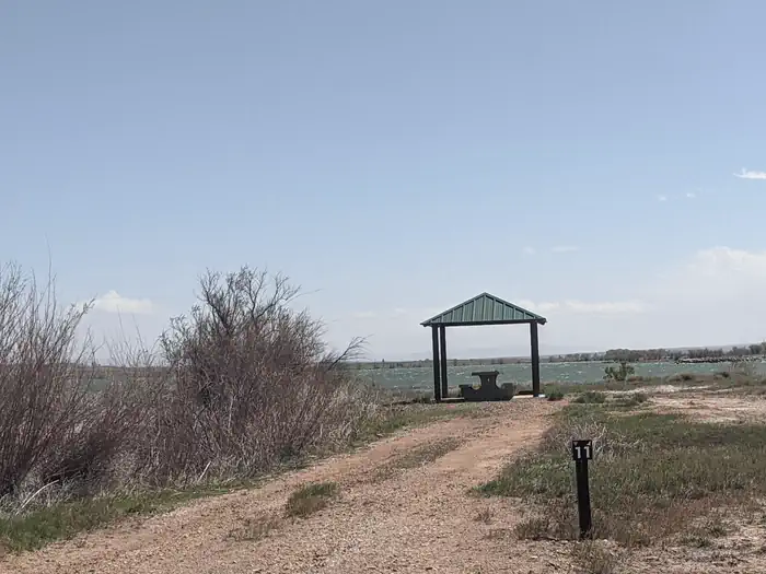 Site 11