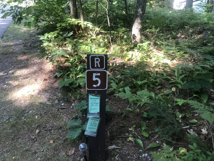 05