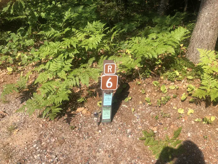 06