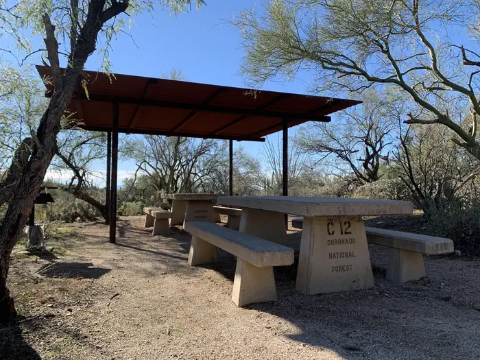 SABINO CANYON RECREATION AREA (Cactus Ramada 1)