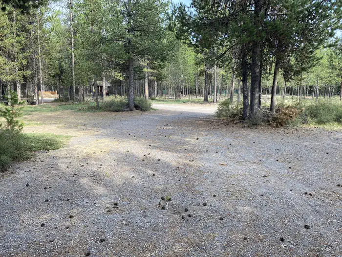 Cultus Corral Horse Camp
