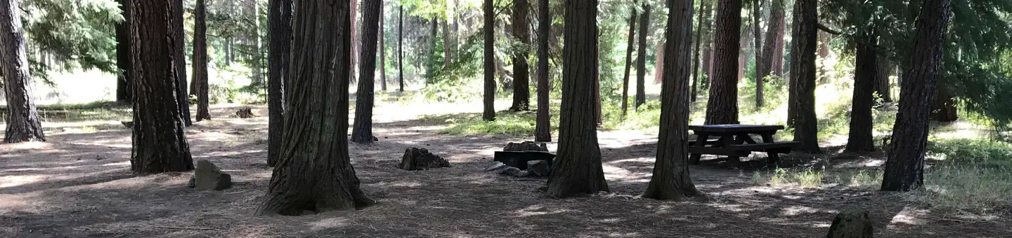 Allen Springs Campground