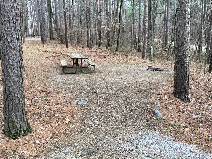 Saddle Lake Recreation Area