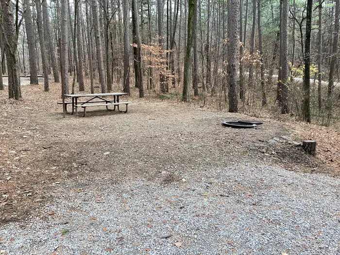 Saddle Lake Recreation Area
