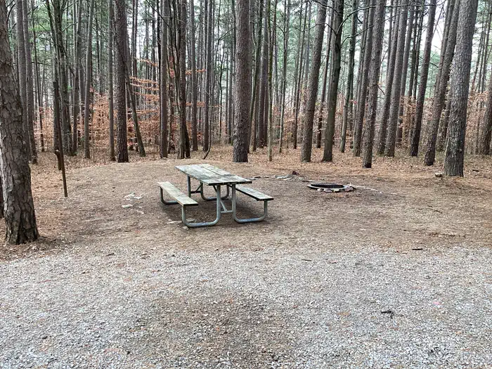 Saddle Lake Recreation Area