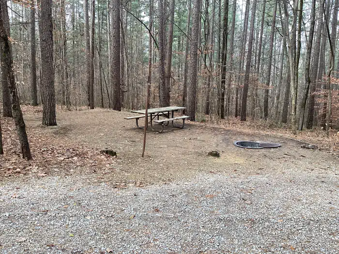 Saddle Lake Recreation Area