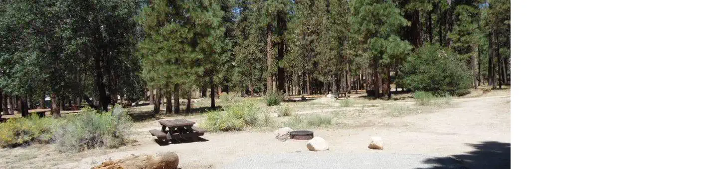 Barton Flats Campground