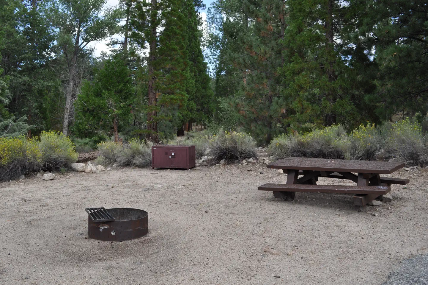 Barton Flats Campground