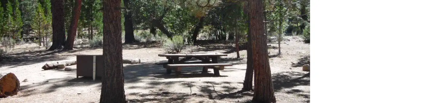 Barton Flats Campground