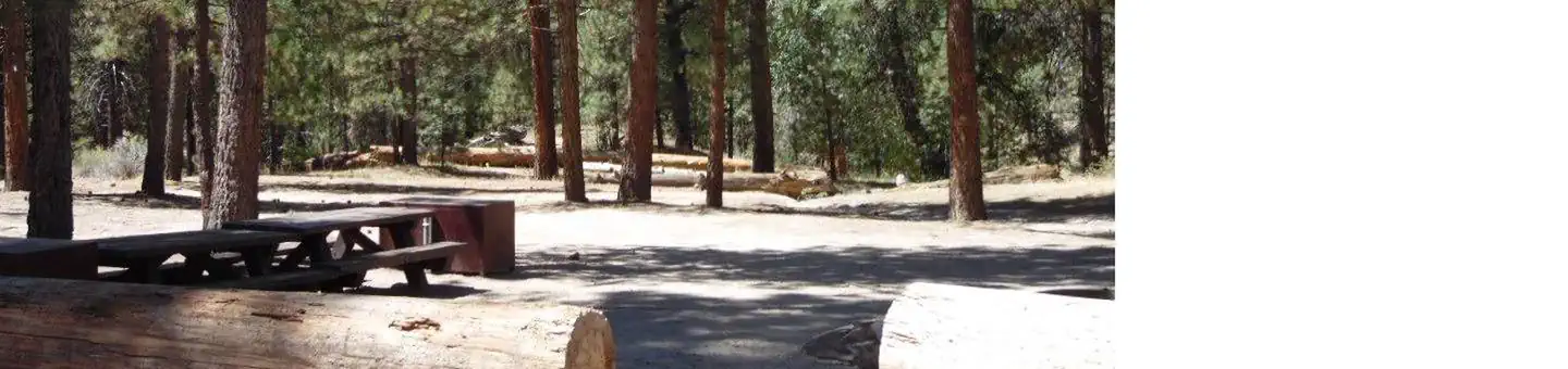 Barton Flats Campground