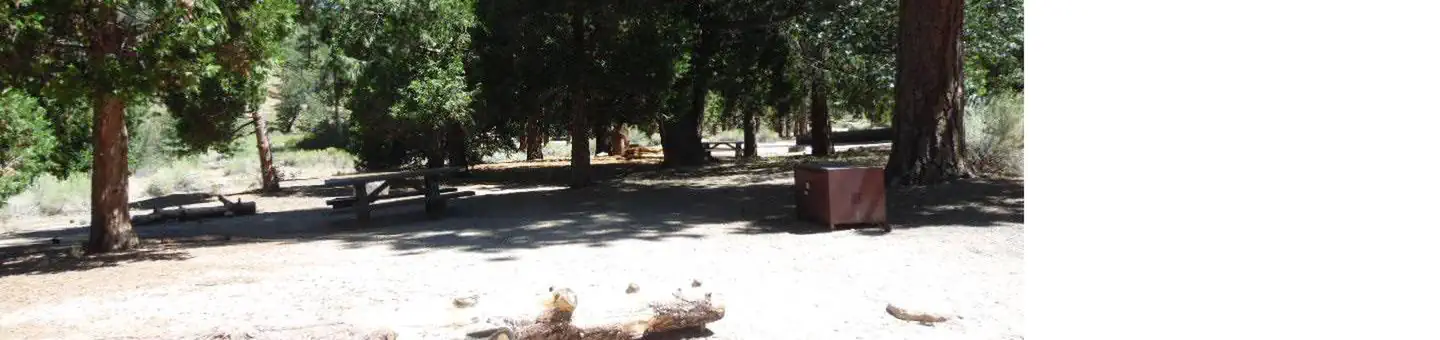 Barton Flats Campground